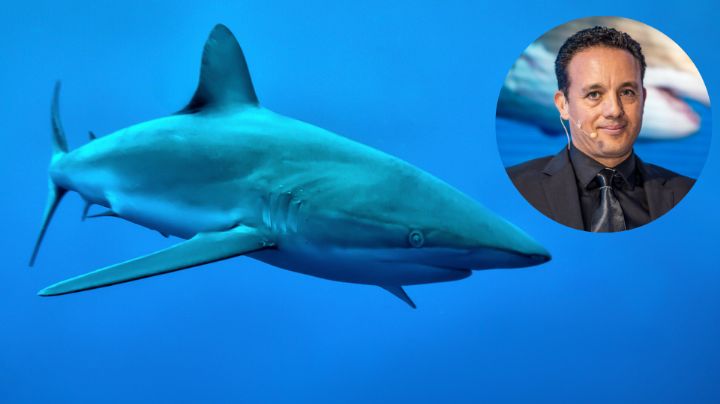 Tiburón muerde a biólogo mexicano mientras buceaba en isla de Costa Rica