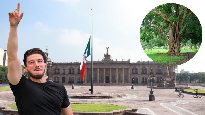 Samuel García propone plantación de árboles en la Explanada de los Héroes