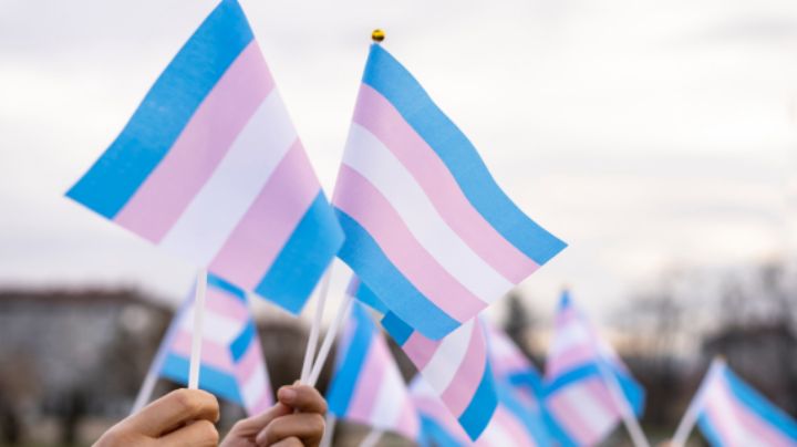 EU busca prohibir que personas trans tengan derecho a tener un arma