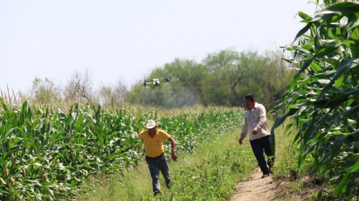 Cadereyta apoya al campo con drones para fumigación agrícola