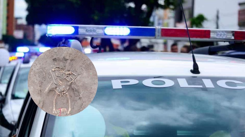 Los restos humanos se encontraron al sur de Reynosa.