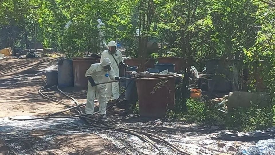 Elementos de la Marina desmantelaron el narcolaboratorio en Durango.