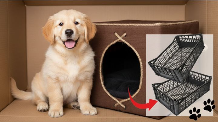 Cómo hacer una camita caliente para tu mascota en casa