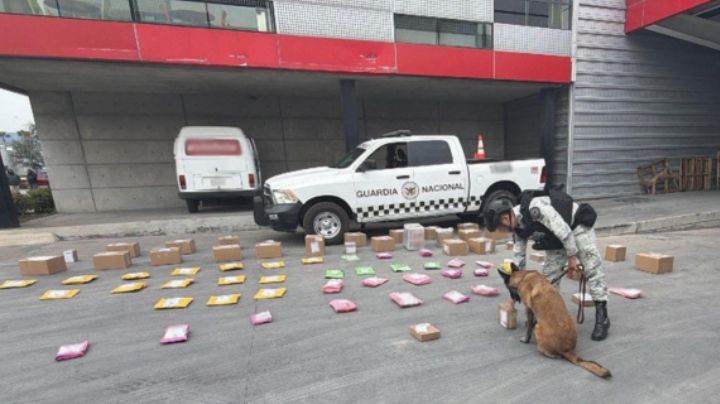 Con ayuda de binomios caninos decomisan más de 80 paquetes de droga en Santa Catarina