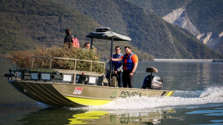 Conservan fauna de la presa de La Boca con árboles de Navidad