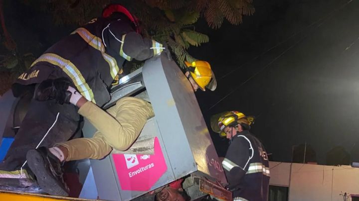 Hombre se queda atorado en contenedor de basura en Guadalajara