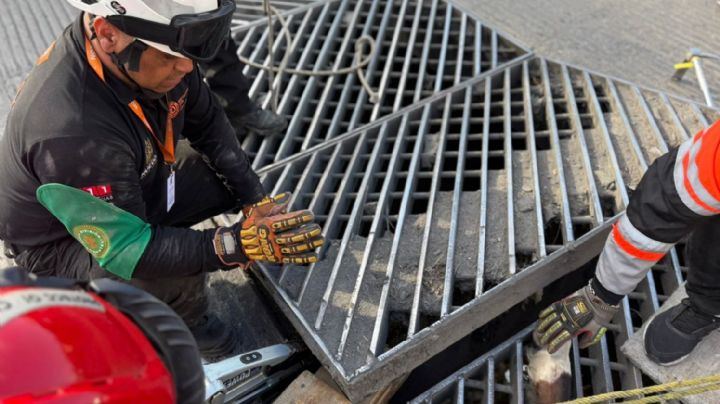 Rescata PC estatal a caballo atorado en rejilla de alcantarilla en Monterrey