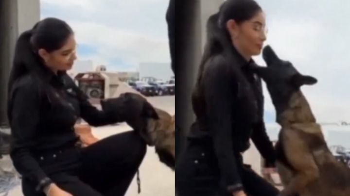 Alcaldesa de Tepic a punto de ser mordida por un perro policía; video se viraliza