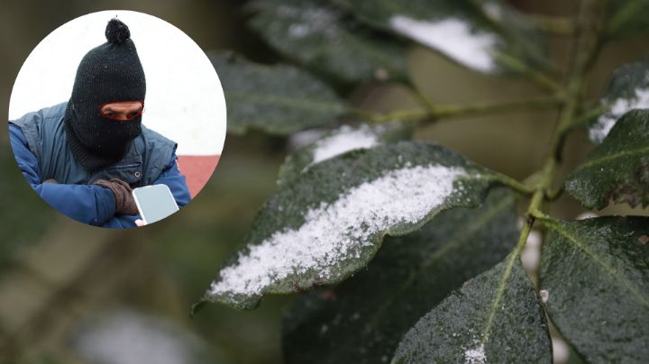 Pronostican caída de aguanieve para Nuevo León: ¿A partir de cuándo?