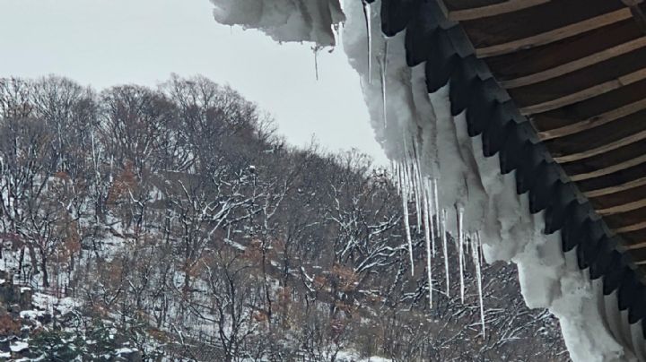 ¿Mínimas de 1 grado? Así estará el clima hoy lunes en Saltillo