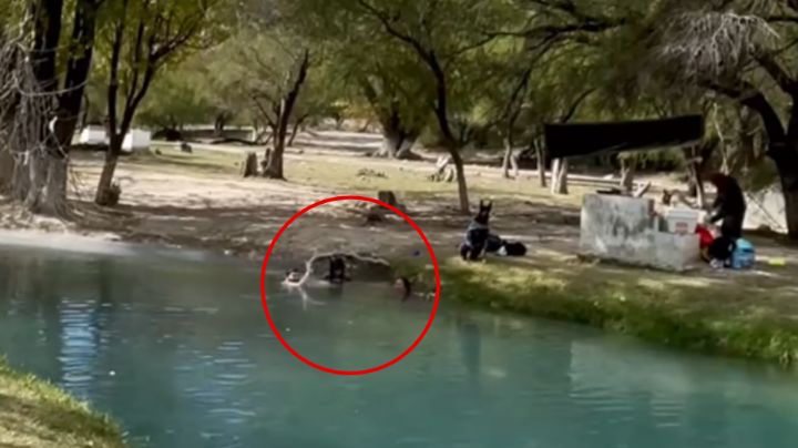 Sin miedo al frío: Turistas se bañan en el Ojo de Agua de Bustamante a 0° centígrados