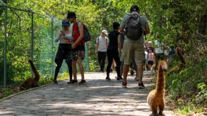 Este es el nuevo horario y costo de entrada para visitar el Parque La Estanzuela