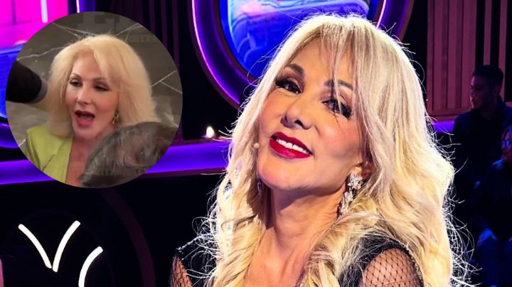 Olivia Collins sufre caída durante conferencia de prensa