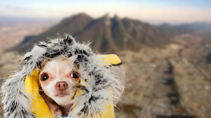 ¿Qué efectos traerá el Frente Frío 32 a Monterrey, Nuevo León?