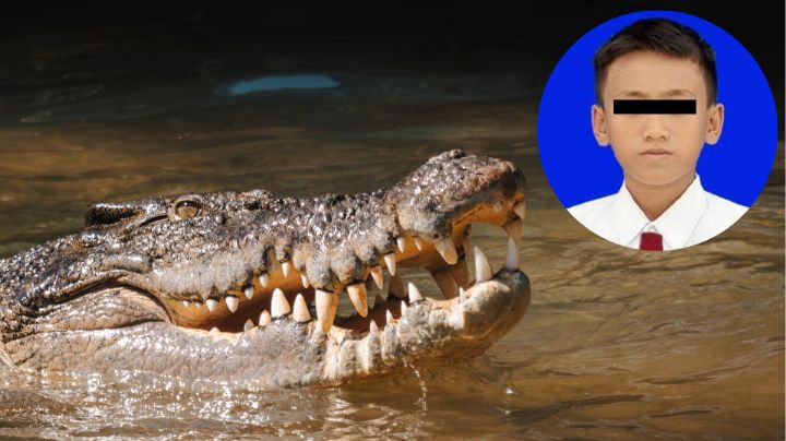 Cocodrilo devora a menor mientras lavaba ropa en río de Indonesia