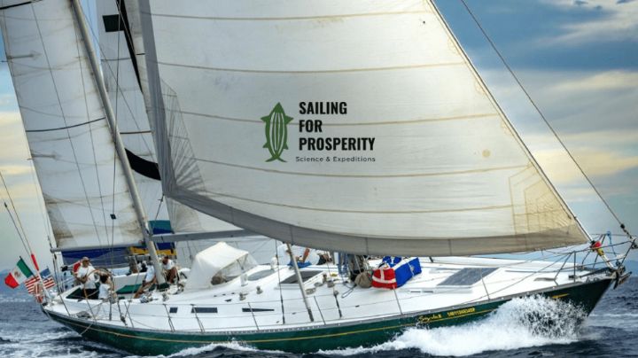Sailing for Prosperity: La plataforma que impulsa acciones para cuidar al mar de Córtes