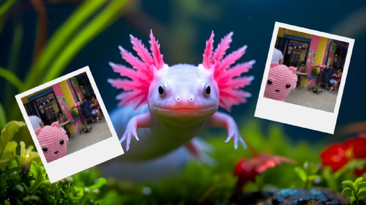 Día del Ajolote: así es el restaurante temático que hay en Monterrey