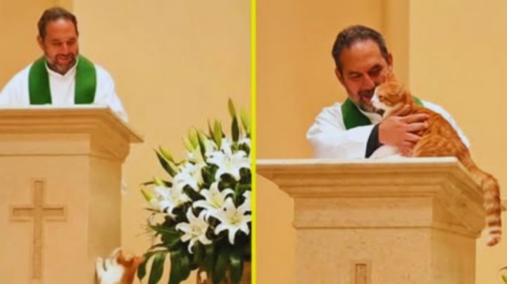 Gatito se hace viral en misa y recuerda el mensaje de amor universal