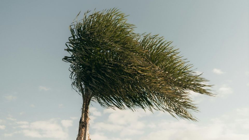 Se pronostica viento fuerte para Nuevo León el próximo sábado 14 de febrero