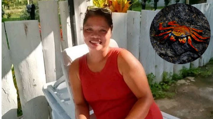 Muere influencer filipina tras comer cangrejo venenoso