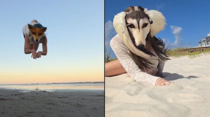 Therian: ¿En qué consiste esta nueva tendencia que ya invade redes sociales?