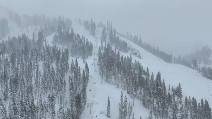 Hallan muertos a ocho esquiadores tras avalancha en California