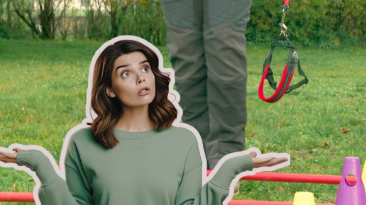 ¿Qué es el “Hobby Dogging”? La extraña tendencia de pasear perros invisibles