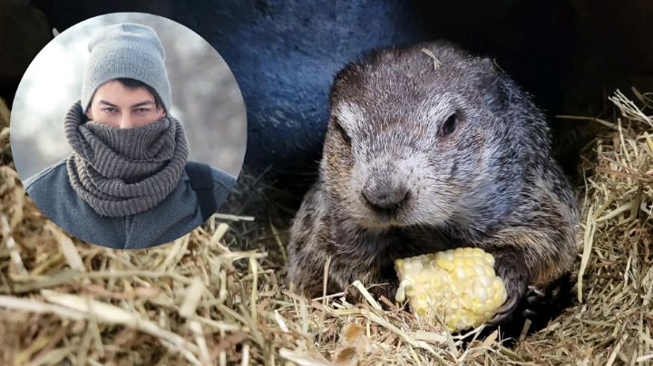 ¿Será un invierno largo? La famosa marmota Phill da su pronóstico del clima para este 2026