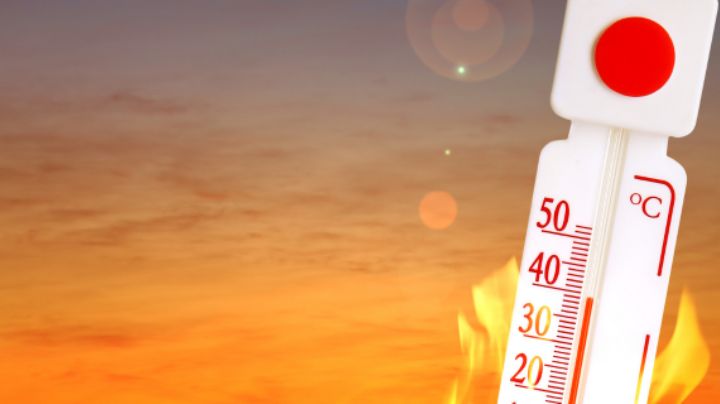 Temporada de calor 2026 en México: advierten que podría ser uno de los años más calurosos