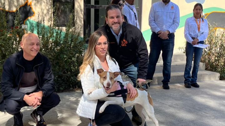 Adoptan a perrita maratonista de Monterrey