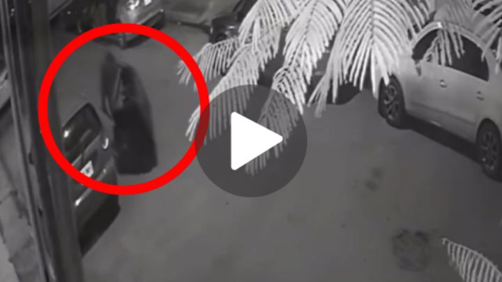 Filtran video del momento en que agresor saca cuerpo de Brithany en carretilla