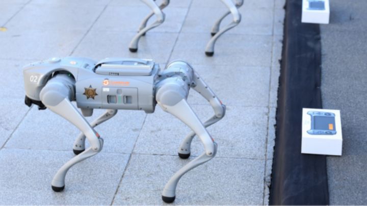 Guadalupe adquiere perros robots por 2.5 mdp