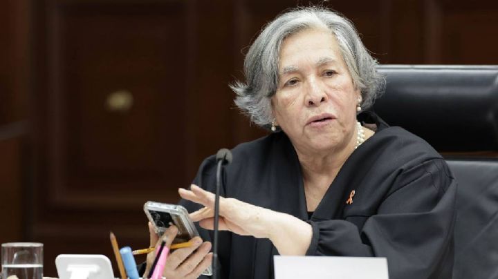 'Personas nacidas por fecundación in vitro no son parte de la familia': ministra de la SCJN