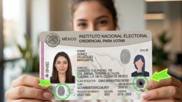 ¿Cambiará la credencial del INE? Estos son los elementos que tendrá