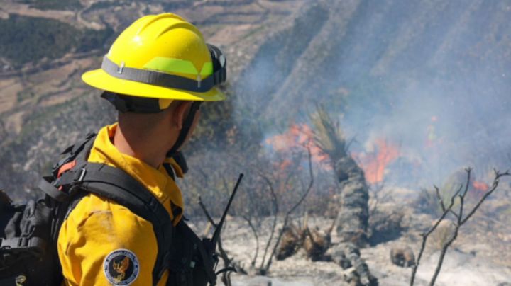 Incendio forestal en sierra de Galeana consume 11 hectáreas de vegetación