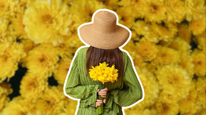 21 de marzo: ¿Qué flores regalar y por qué?