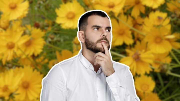 Flores amarillas: ¿Por qué los hombres no las reciben el 21 de marzo?