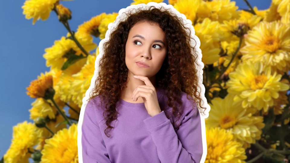 Esta tendencia nació en redes sociales.