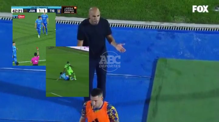 Tigres: Expulsan a 'Chicha' Sánchez y sólo da 30 minutos a regla de menores