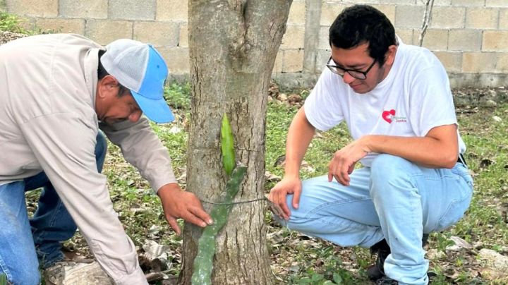 Somos el Cambio promueve alianzas para impulsar proyectos comunitarios