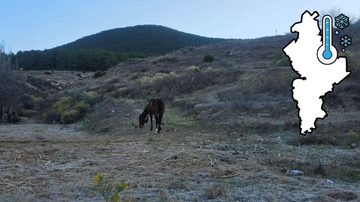 Reportan heladas este lunes en Nuevo León… ¡en plena primavera!