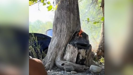 Sin carnita y a la cárcel: Detienen a personas por prender fuego en árbol del río Ramos