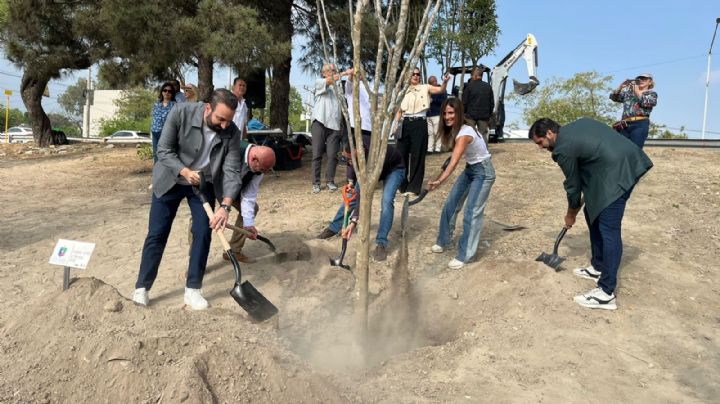 San Pedro inicia reforestación con 500 árboles rumbo al Mundial 2026