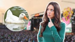 ¿Oigan y los patos? Esto pasa con los animales de Fundidora durante el Pa’l Norte 2026