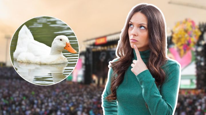 ¿Oigan y los patos? Esto pasa con los animales de Fundidora durante el Pa’l Norte 2026