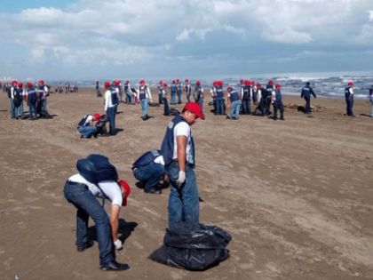 Recogen más de 880 toneladas de crudo en costas del Golfo de México