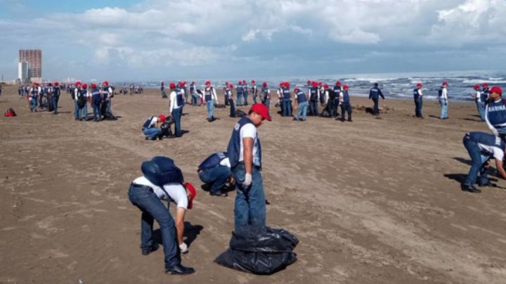 Recolectan más de 825 toneladas de residuos en medio de derrame en el Golfo de México