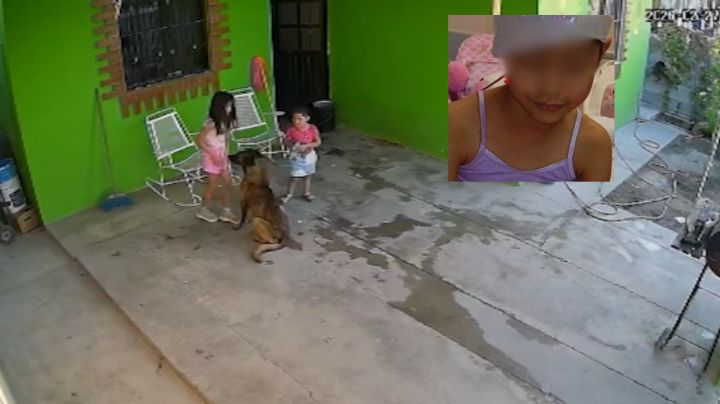 Niña es atacada por su perro en Coahuila; familia dormiría al animal