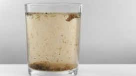 ¿Qué hacer si el agua sale turbia después de un corte en Nuevo León?