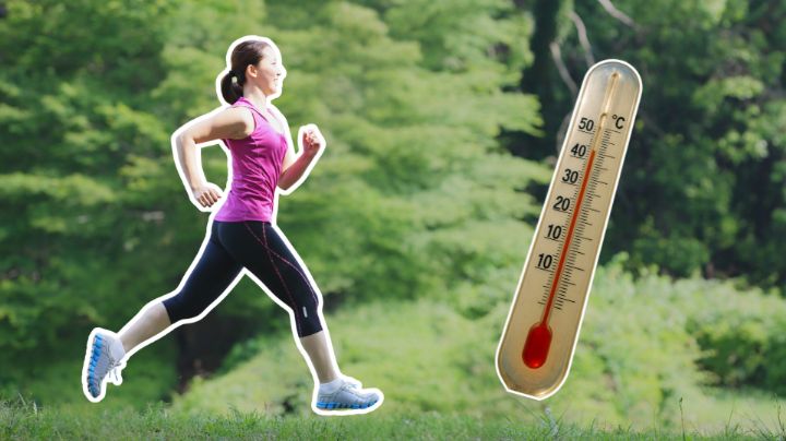 Clima Monterrey: Ambiente cálido y condiciones favorables este jueves